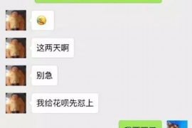 德城贷款清欠服务